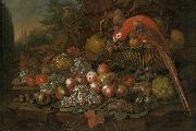 Francis Sartorius Still life with fruits and a parrot oil painting picture wholesale